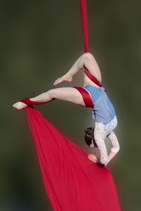 Friedrich_Fuchshuber